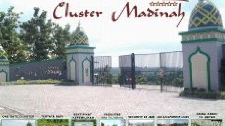 Cluster Madinah